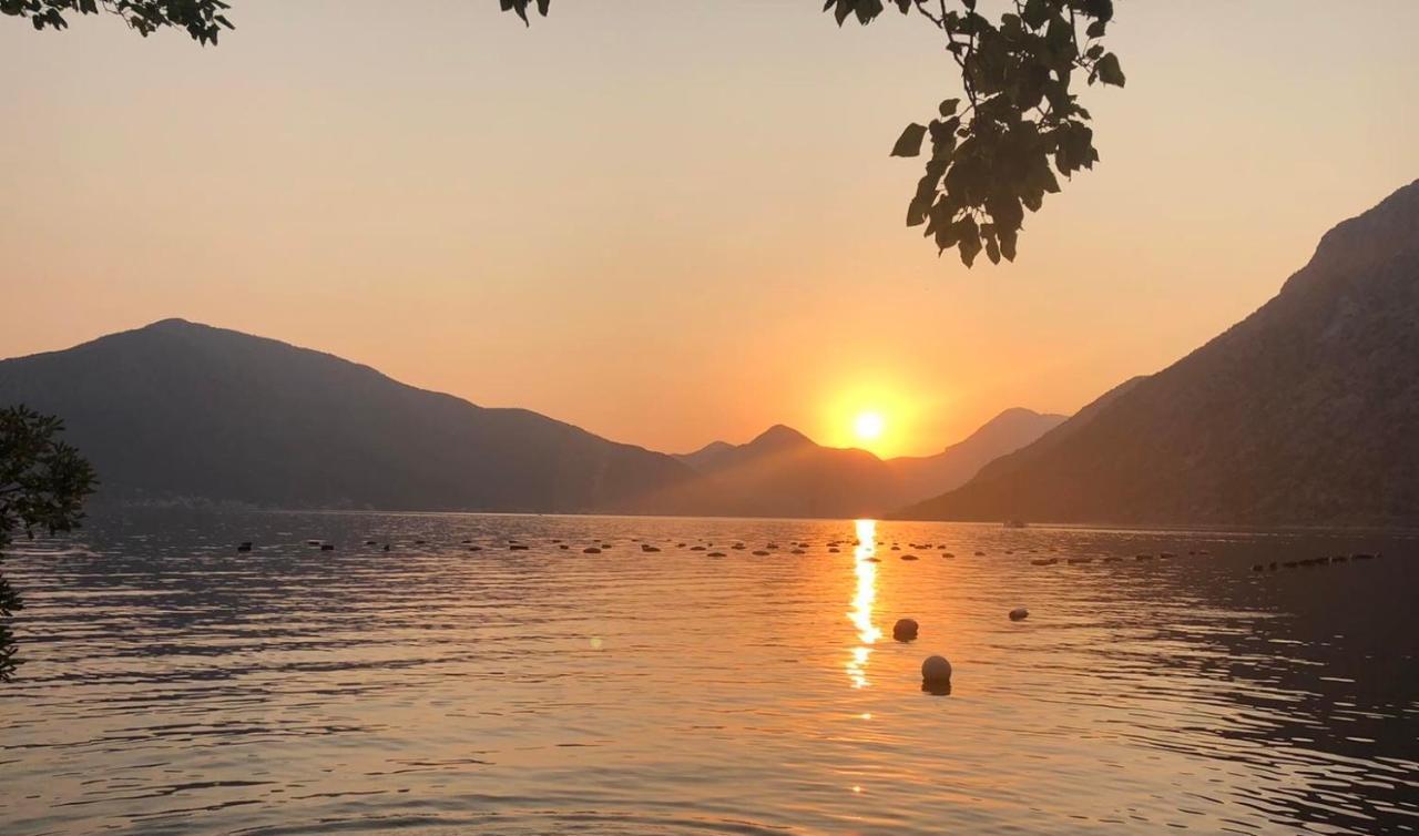 Vacanza, Sea View Kotor Eksteriør billede